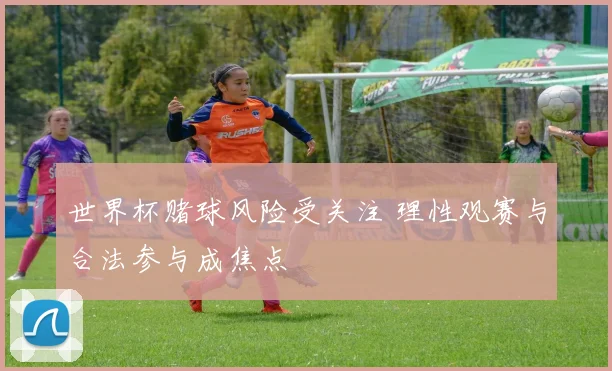 世界杯赌球风险受关注 理性观赛与合法参与成焦点