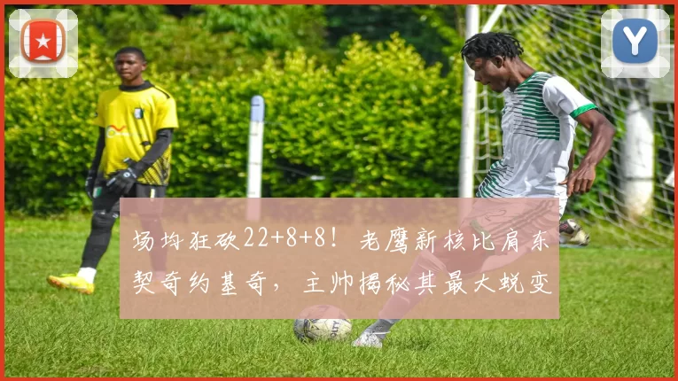 场均狂砍22+8+8!老鹰新核比肩东契奇约基奇,主帅揭秘其最大蜕变